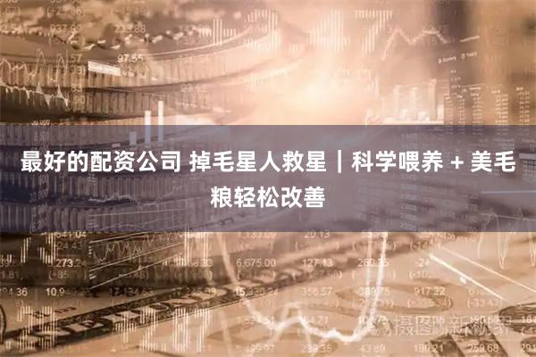 最好的配资公司 掉毛星人救星｜科学喂养 + 美毛粮轻松改善